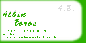 albin boros business card